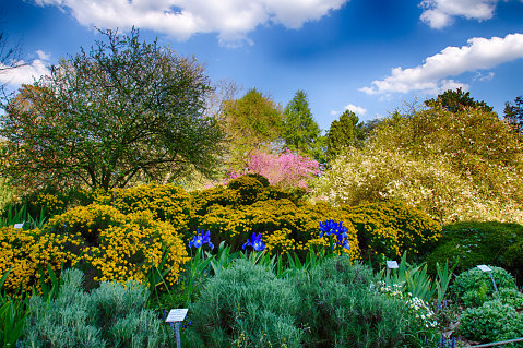 Pflanzenbeet in der Flora